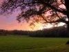 Zonsondergang op de Tankenberg